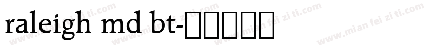 raleigh md bt字体转换